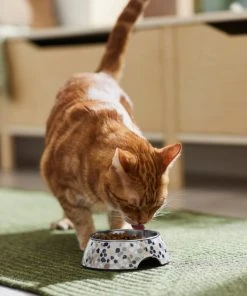 Frisco Terrazzo Design Stainless Steel Dog & Cat Bowl -Frisco Sales 2024 311955 PT3. SY630 V1642535575