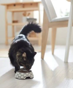 Frisco Moroccan Design Stainless Steel Dog & Cat Bowl 13 Frisco Moroccan Design Stainless Steel Dog & Cat Bowl -Frisco Sales 2024 311963 PT3. SY630 V1642542386