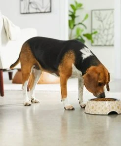 Frisco Circle Design Stainless Steel Dog & Cat Bowl -Frisco Sales 2024 311967 PT2. SY630 V1642542871