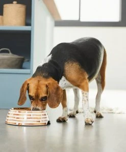 Frisco Copper Print Design Stainless Steel Dog & Cat Bowl -Frisco Sales 2024 311975 PT2. SY630 V1642542895