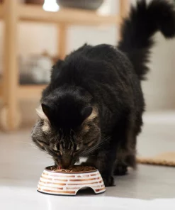 Frisco Copper Print Design Stainless Steel Dog & Cat Bowl -Frisco Sales 2024 311975 PT3. SY630 V1642542357