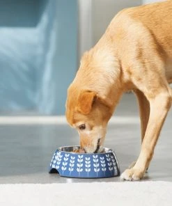 Frisco Leaf Design Stainless Steel Dog & Cat Bowl, Blue 12 Frisco Leaf Design Stainless Steel Dog & Cat Bowl, Blue -Frisco Sales 2024 311979 PT2. SY630 V1642543012