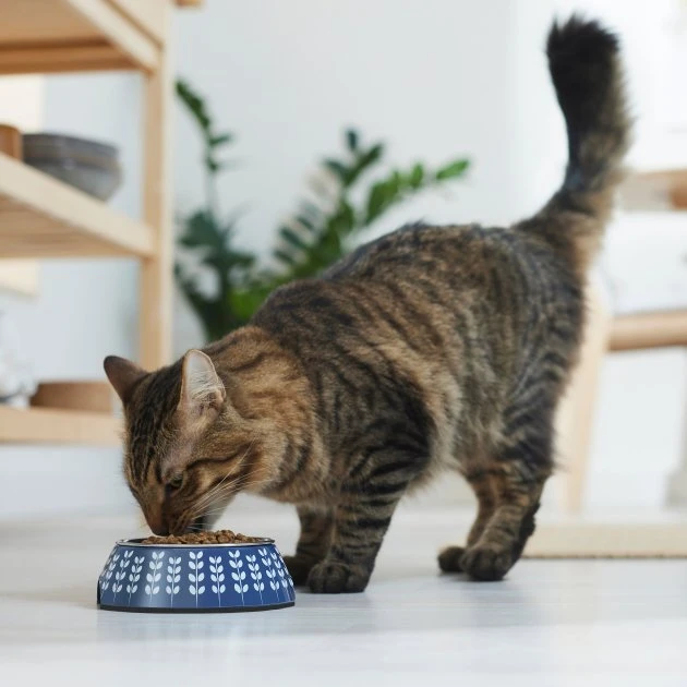 Frisco Leaf Design Stainless Steel Dog & Cat Bowl, Blue 6 Frisco Leaf Design Stainless Steel Dog & Cat Bowl, Blue - Image 4