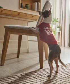 Frisco Mama's Bestie Dog & Cat T-Shirt -Frisco Sales 2024 312056 PT8. SY630 V1644425515