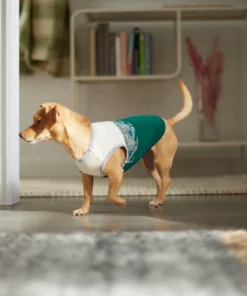 Frisco Tropical Palm Dog & Cat T-Shirt -Frisco Sales 2024 312072 PT8. SY630 V1644425897