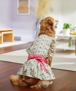 Frisco Dainty Pink Floral Dog & Cat Dress -Frisco Sales 2024 312136 PT8. SY630 V1644531784