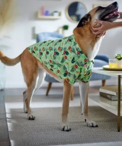 Frisco Hawaiian Floral Camp Dog & Cat Shirt -Frisco Sales 2024 312168 PT8. SY630 V1644524650