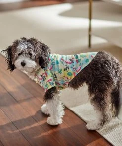 Frisco Flamingo Camp Dog & Cat Shirt -Frisco Sales 2024 312176 PT8. SY630 V1644527708