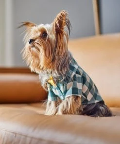 Frisco Boho Plaid Dog & Cat Shirt -Frisco Sales 2024 312184 PT8. SY630 V1644524330