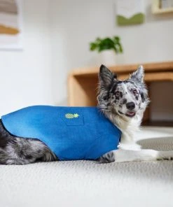 Frisco Chambray Pineapple Dog & Cat Shirt -Frisco Sales 2024 312192 PT8. SY630 V1644526681