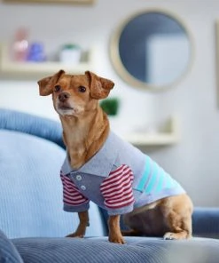 Frisco Striped Polo Dog & Cat Shirt -Frisco Sales 2024 312208 PT8. SY630 V1644882482