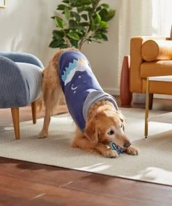Frisco Starry Night Dog & Cat Hoodie -Frisco Sales 2024 312216 PT8. SY630 V1644882274