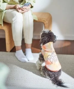 Frisco Good Vibes Dog & Cat Hoodie -Frisco Sales 2024 312224 PT8. SY630 V1644880111