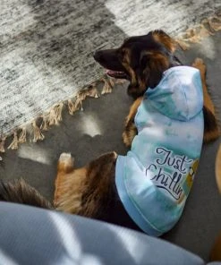 Frisco Just Chillin Dog & Cat Hoodie -Frisco Sales 2024 312232 PT8. SY630 V1644881824