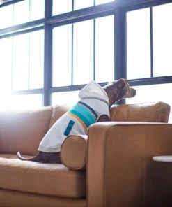 Frisco Striped Grey Dog & Cat Hoodie -Frisco Sales 2024 312264 PT8. SY630 V1644880135