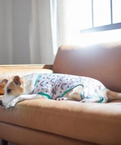 Frisco Rainbow Dog & Cat PJs -Frisco Sales 2024 312280 PT8. SY630 V1644886098