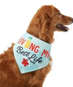 Frisco Living My Best Life Dog & Cat Bandana