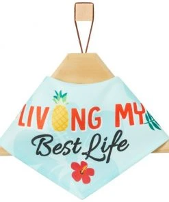 Frisco Living My Best Life Dog & Cat Bandana -Frisco Sales 2024 312288 PT3. SY630 V1644883285