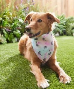 Frisco Palm Tree Dog & Cat Bandana -Frisco Sales 2024 312291 PT8. SY630 V1644881007
