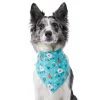 Frisco Spring Floral Dog & Cat Bandana
