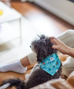 Frisco Spring Floral Dog & Cat Bandana -Frisco Sales 2024 312294 PT8. SY630 V1644881583