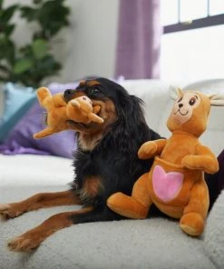 Frisco Kangaroo & Joey Plush Squeaky Dog Toy, 2 count -Frisco Sales 2024 312899 PT3. SY630 V1638987688