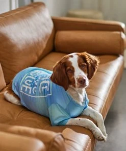 Frisco Peace Love Rescue Dog & Cat T-Shirt 13 Frisco Peace Love Rescue Dog & Cat T-Shirt -Frisco Sales 2024 315067 PT8. SY630 V1646349423