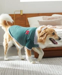 Frisco Green Rugby Dog & Cat Polo Shirt -Frisco Sales 2024 315083 PT8. SY630 V1646437999