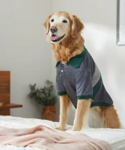 Frisco Green Striped Polo Dog & Cat Shirt 19 Frisco Green Striped Polo Dog & Cat Shirt -Frisco Sales 2024 315091 PT8. SY630 V1646434389