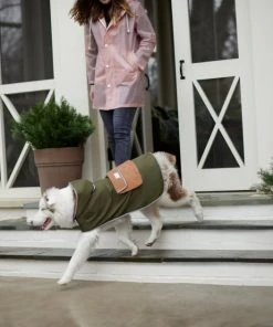 Frisco Olive Reversible Packable Dog Raincoat -Frisco Sales 2024 315116 PT8. SY630 V1646435907