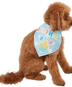 Frisco Birthday Pup Dog & Cat Bandana