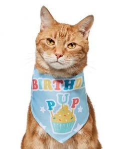 Frisco Birthday Pup Dog & Cat Bandana -Frisco Sales 2024 315130 PT2. SY630 V1646437964