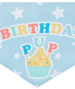 Frisco Birthday Pup Dog & Cat Bandana -Frisco Sales 2024 315130 PT5. SY630 V1646434611