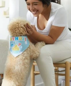 Frisco Birthday Pup Dog & Cat Bandana -Frisco Sales 2024 315130 PT8. SY630 V1646434068