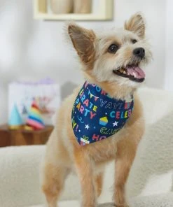 Frisco Celebration Dog & Cat Bandana -Frisco Sales 2024 315133 PT8. SY630 V1646439775