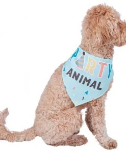 Frisco Party Animal Dog & Cat Bandana