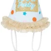 Frisco It's a Party Animal Dog & Cat Hat -Frisco Sales 2024 315139 MAIN. SY630 V1646437017