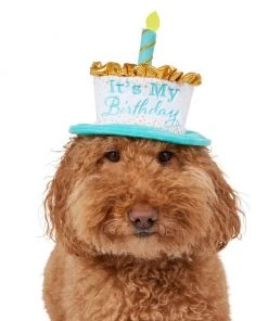 Frisco It's My Birthday Dog & Cat Hat -Frisco Sales 2024 315142 PT2. SY630 V1646436466