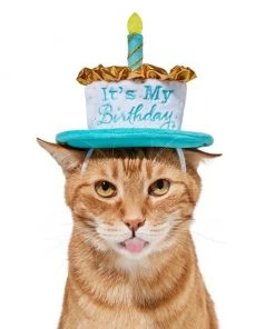 Frisco It's My Birthday Dog & Cat Hat -Frisco Sales 2024 315142 PT3. SY630 V1646437287