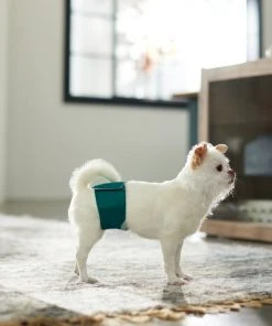 Frisco Washable Male Wrap, Whales, 3pk -Frisco Sales 2024 315706 PT3. SY630 V1644882254