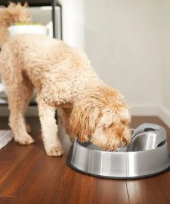 Frisco Stainless Steel Round Dog & Cat Fountain, 1 Gallon -Frisco Sales 2024 316358 PT6. SY630 V1637610402