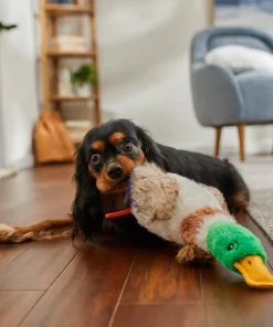 Frisco Fur Really Real Mallard Plush Squeaky Dog Toy -Frisco Sales 2024 316927 PT2. SY630 V1641400912
