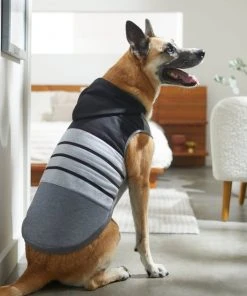 Frisco Gray Striped Dog & Cat Hoodie 15 Frisco Gray Striped Dog & Cat Hoodie -Frisco Sales 2024 317304 PT8. SY630 V1646439798