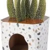 Frisco Potted Succulent Cardboard Cat House -Frisco Sales 2024 317723 MAIN. SY630 V1642086153