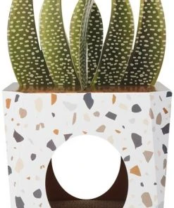 Frisco Potted Succulent Cardboard Cat House 8 Frisco Potted Succulent Cardboard Cat House -Frisco Sales 2024 317723 PT2. SY630 V1642088638