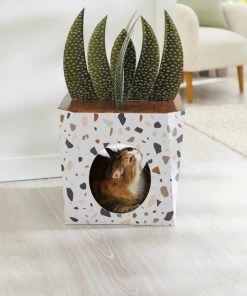 Frisco Potted Succulent Cardboard Cat House 9 Frisco Potted Succulent Cardboard Cat House -Frisco Sales 2024 317723 PT3. SY630 V1642099430