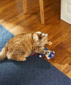 Frisco||Pets First Frisco Baseball Bear Plush and Crinkle Kicker Toy + Pets First Chicago Cubs Baseball Cat Scratcher Toy with Catnip -Frisco Sales 2024 318986 PT3. SY630 V1630363596