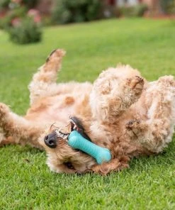 Frisco||Playology Frisco Fetch Squeaking Colorful Tennis Ball, 3-Pack + Playology All Natural Dual Layer Bone Dog Toy, Large, Peanut Butter Scented -Frisco Sales 2024 319022 PT6. SY630 V1630561003