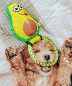 Frisco||Avo Doggo Frisco Hide and Seek Plush Guacamole Toy + Avo Doggo Avocado Dog Tug Toy -Frisco Sales 2024 319052 PT7. SY630 V1630561579