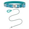 Frisco Outdoor Comfort Print Nylon Padded Collar, Large, Neck: 18 -26-in, Width: 1-in + Outdoor Ultra Reflective Rope Leash With Padded Handle, Bayou Teal, 6 - ft -Frisco Sales 2024 319068 MAIN. SY630 V1631140607